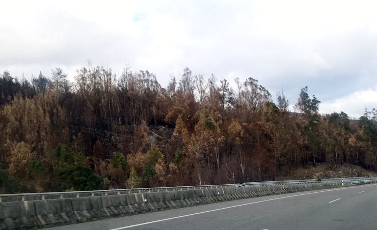 Montes quemados en los incendios de octubre.