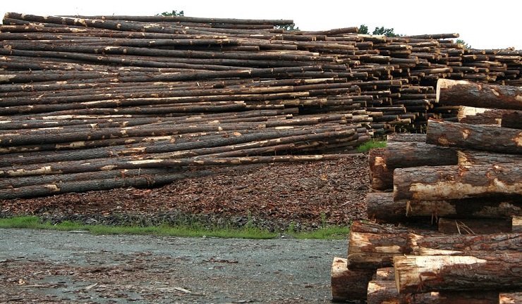 Las ayudas apoyarán proyectos de segunda transformación de la madera, carpintería, fábricas de muebles y contract.