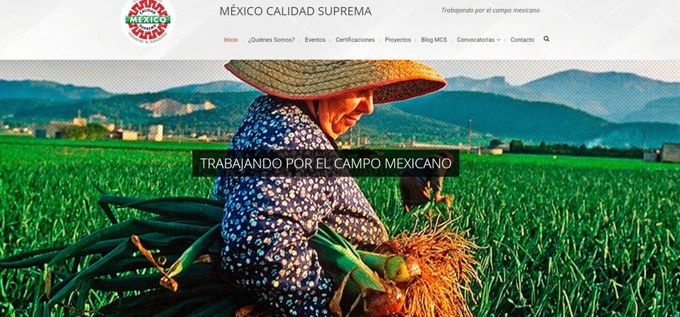 Web de México Calidad Suprema.