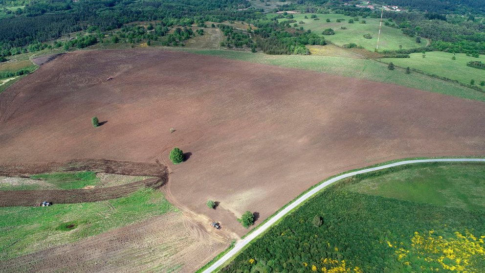 La finca plantada por Coren está ubicada en el monte comunal de Pombeiro, en el municipio lucense de Ferreira de Pantón.