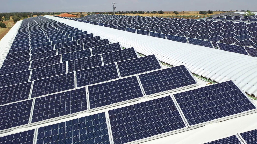 Placas fotovoltaicas instaladas por EDF Solar.
