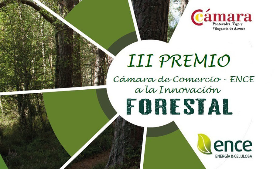 La Cámara de Pontevedra, Vigo y Vilagarcía y Ence convocan el III Premio a la Innovación Forestal.