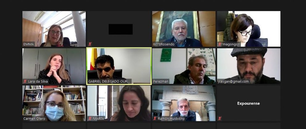 Reunión online del comité asesor de Ourense Vinis Terrae.