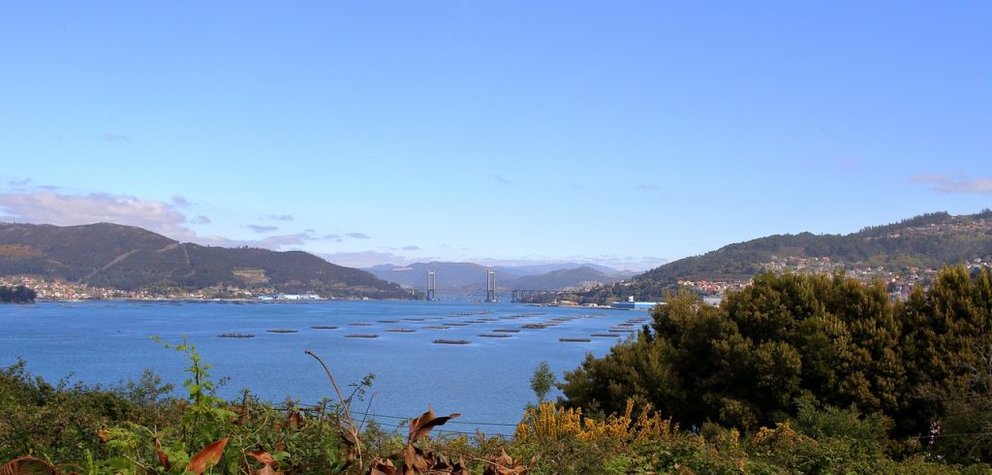 Las organizaciones empresariales reclaman que se tenga en cuenta las singularidades de la costa gallega. En la imagen, ría de Vigo./rosenmascara en Pixabay.