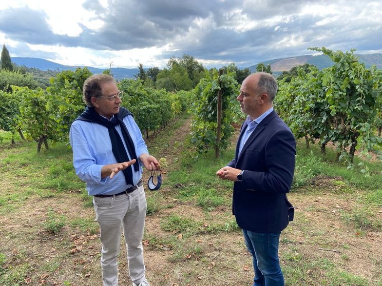 Roberto Verino y David Regades en los viñedos de Bodega Gargalo, en Monterrei.