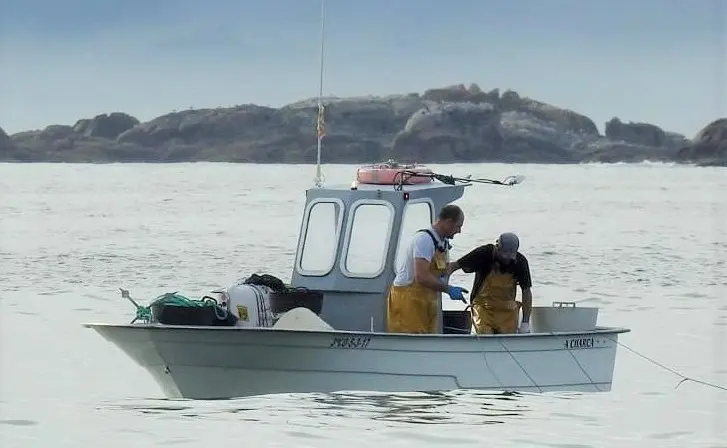 Pesca de bajura en Galicia.