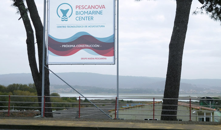Pescanova construirá en 2017 en O Grove su Centro de I+D+i de Acuicultura.