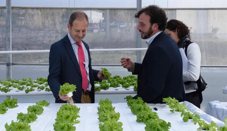 Juan Cividanes en su visita a las instalaciones de H2 Hydroponics en Nigrán./P.HERNÁNDEZ.