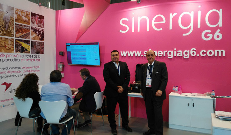 Manuel Portela, director técnico de Sinergia G6, e Roberto Goñi Petit, director xeral.