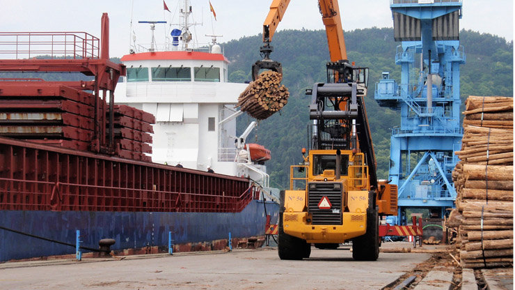 Descarga de madera en el Puerto de Ferrol.