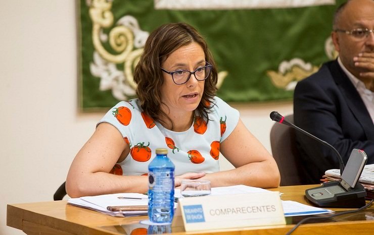 La directora de la Axencia Tributaria de Galicia, María Victoria González, en la Comisión de Economía del Parlamento gallego./X.CRESPO.