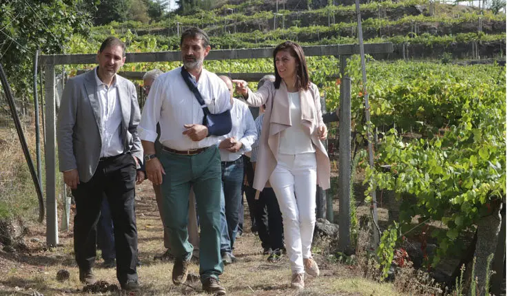 La conselleira Ángeles Vázquez visitó la bodega As Laxas en la D.O. Rías Baixas.