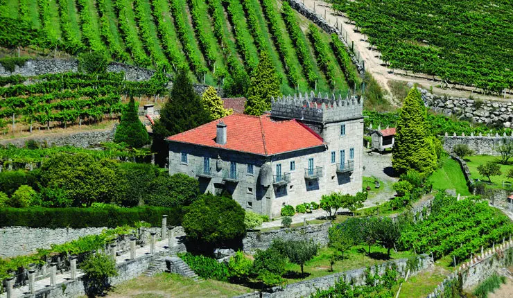 Viñedos de Bodegas Marqués de Vizhoja.