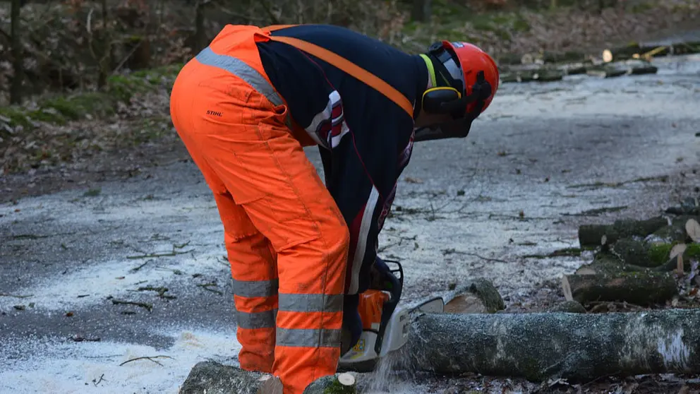 As axudas inclúen a realización de obradoiros duais forestais.