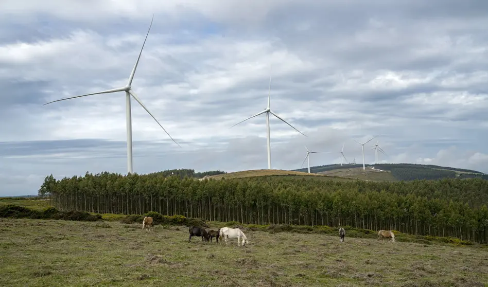 Uno de los parques eólicos de Norvento en la provincia de Lugo.