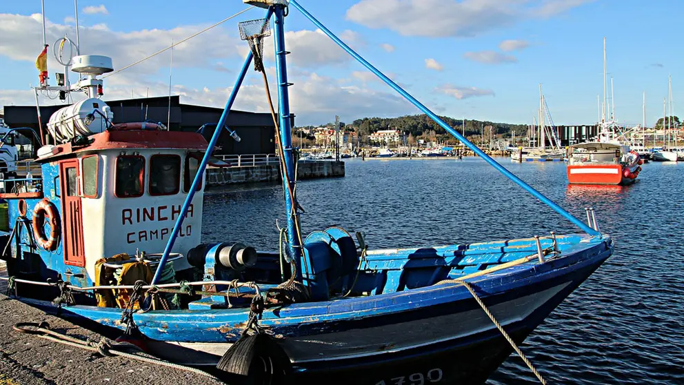 proxectos empresariais que promovan o desenvolvemento da contorna da Ría de Pontevedra.