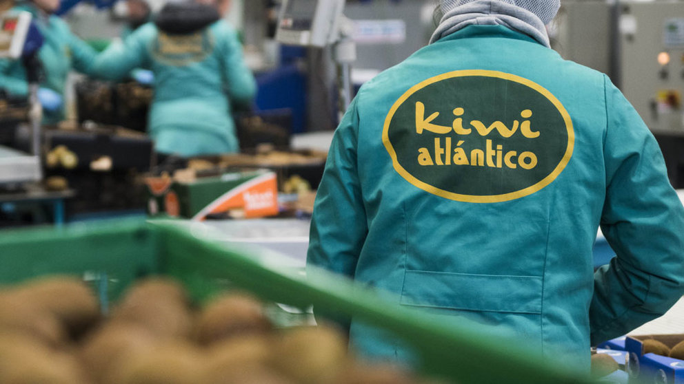 Kiwi Atlántico mejorará la zona de recepción de la fruta, así como la zona de stock de sus instalaciones en Ribadumia.