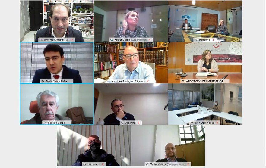 Miembros de Fegape en reunión online con el director del IGVS y otros cargos de Xestur.