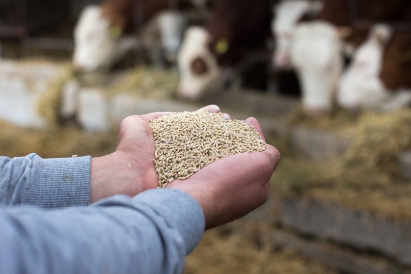 La soja, el maiz y el trigo cuestan ahora un 30, 55 y 60% más que hace un año,
