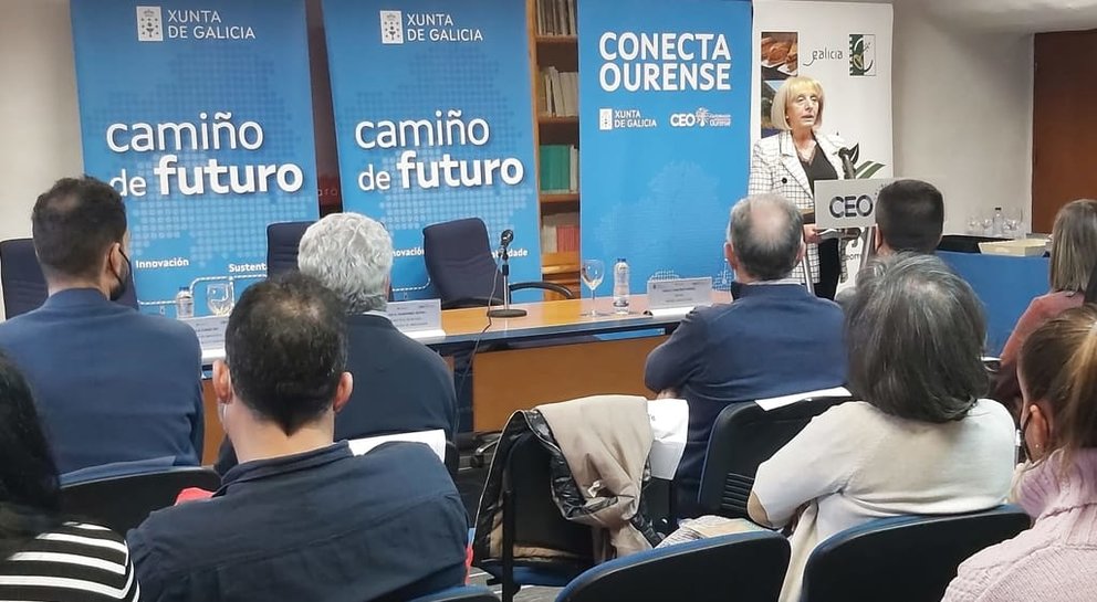 Marisol Novoa, presidenta da CEO, intervindo na xornada Camiño de Futuro.