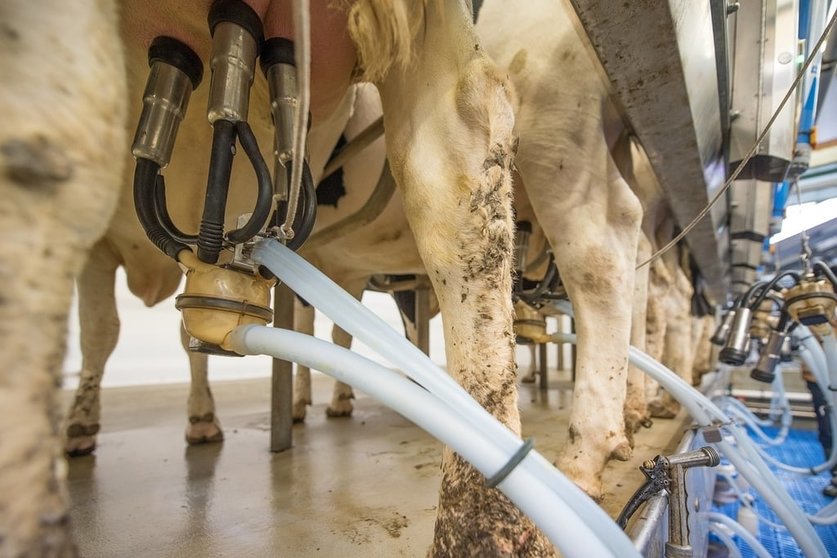 Agromuralla denuncia impagos de entregas de leite por parte de dúas empresas a cinco gandeiros asociados.