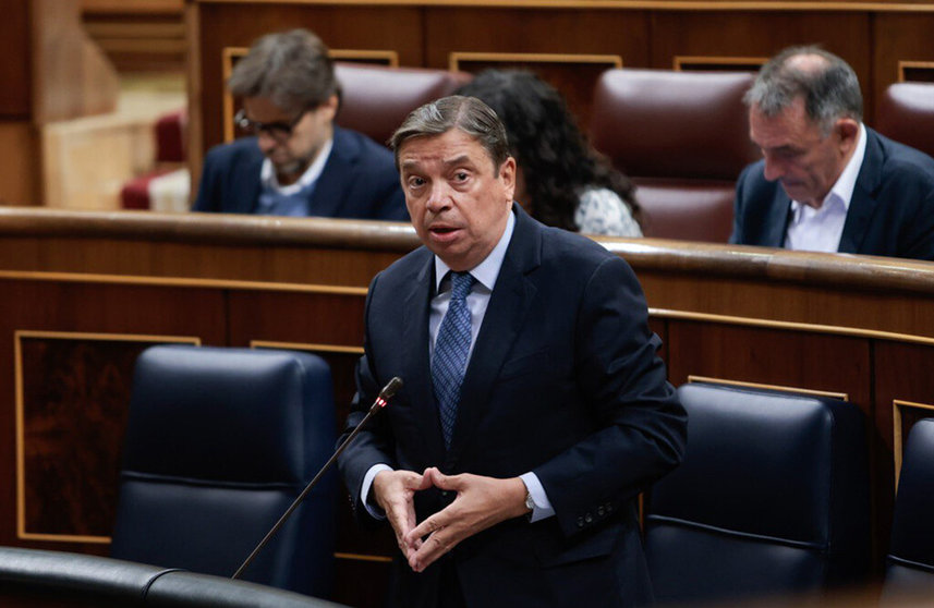 El ministro Luis Planas, durante su intervención en el Congreso./MAPA.