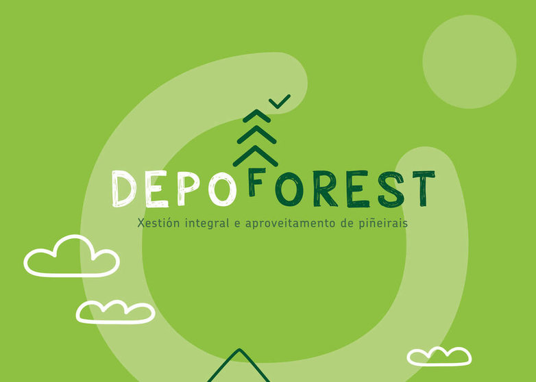 Depoforest é un curso formativo centrado na xestión integral e aproveitamento de piñeirais.