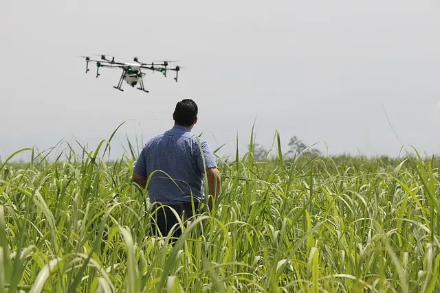 La iniciativa E-Learning Data quiere también poner a disposición de las empresas gallegas la experimentación y desarrollo de aplicaciones que, basadas en datos procedentes de distintas plataformas de observación (satélites o drones), mejoren las capacidades de innovación del sector agro.