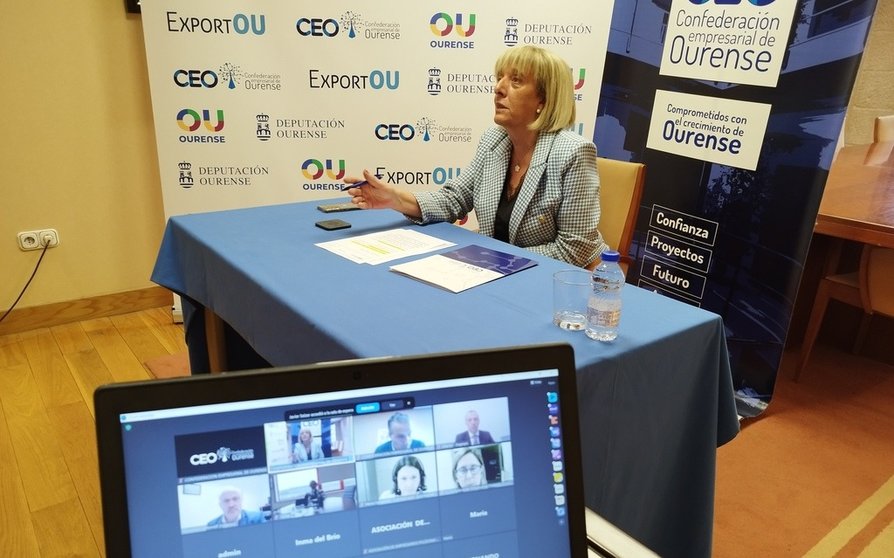 Marisol Novoa, presidenta de la CEO, en un momento de la jornada online con Sogarpo.