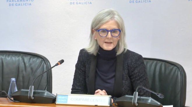 La directora del Igape, Covadonga Toca, presentó los presupuestos del Instituto en el Parlamento.
